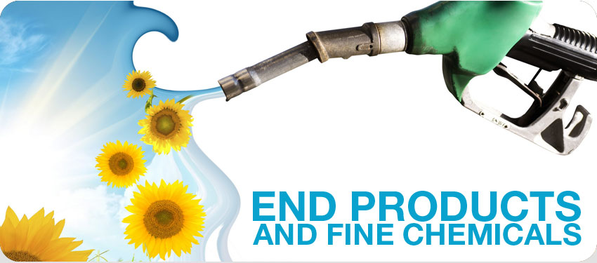 End Products and Fine Chemicals
